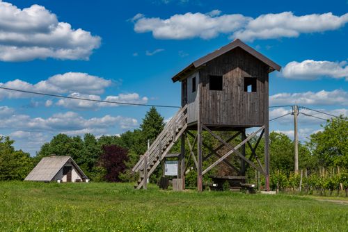 Free A rustic wooden lookout tower set against a clear blue sky in the Croatian countryside, featuring lush greenery. Stock Photo