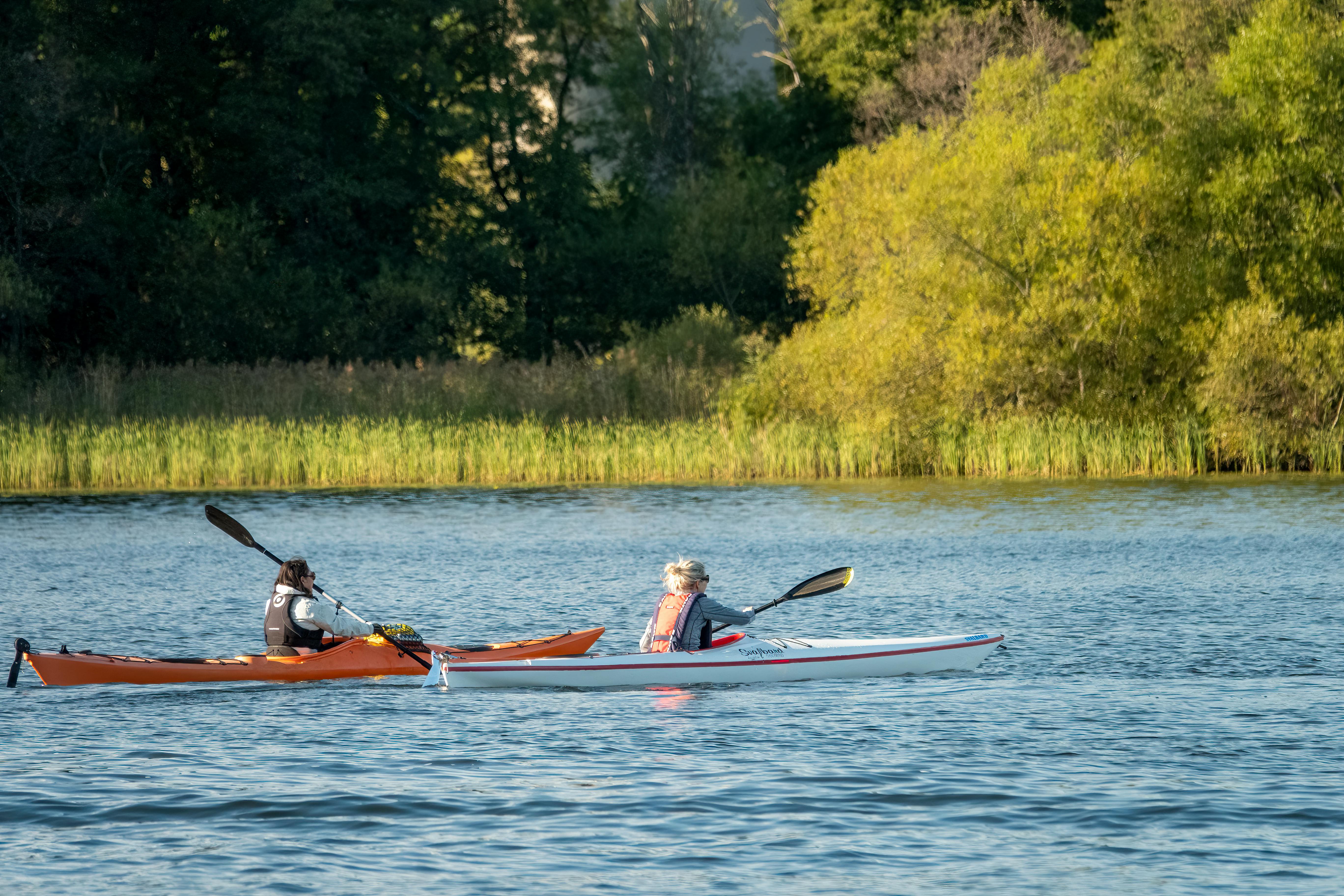 KOA Reinforces Outdoor Recreation as Essential to Public Health — Photo by Tom Fisk on Pexels