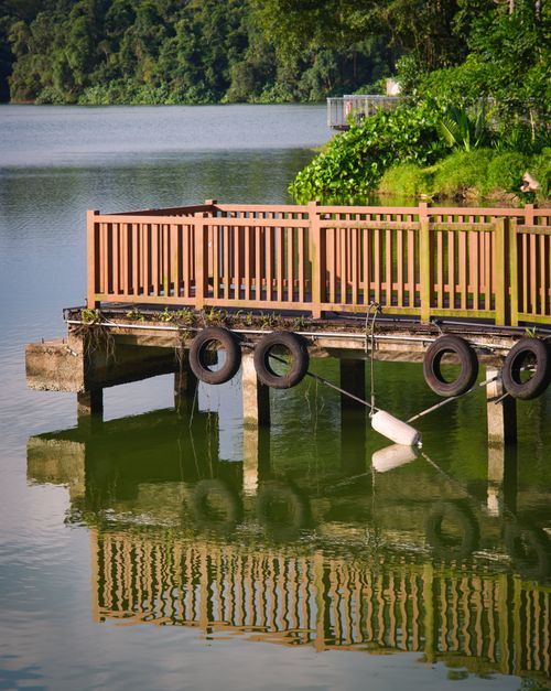 Free Peaceful wooden pier with tires and lush greenery reflected in a tranquil lake. Stock Photo