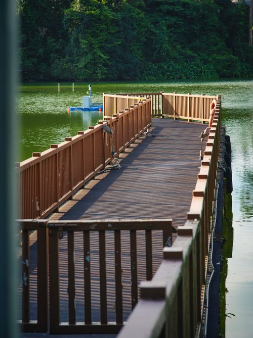 Free A wooden pier on a lake surrounded by lush greenery, offering a serene outdoor scene. Stock Photo