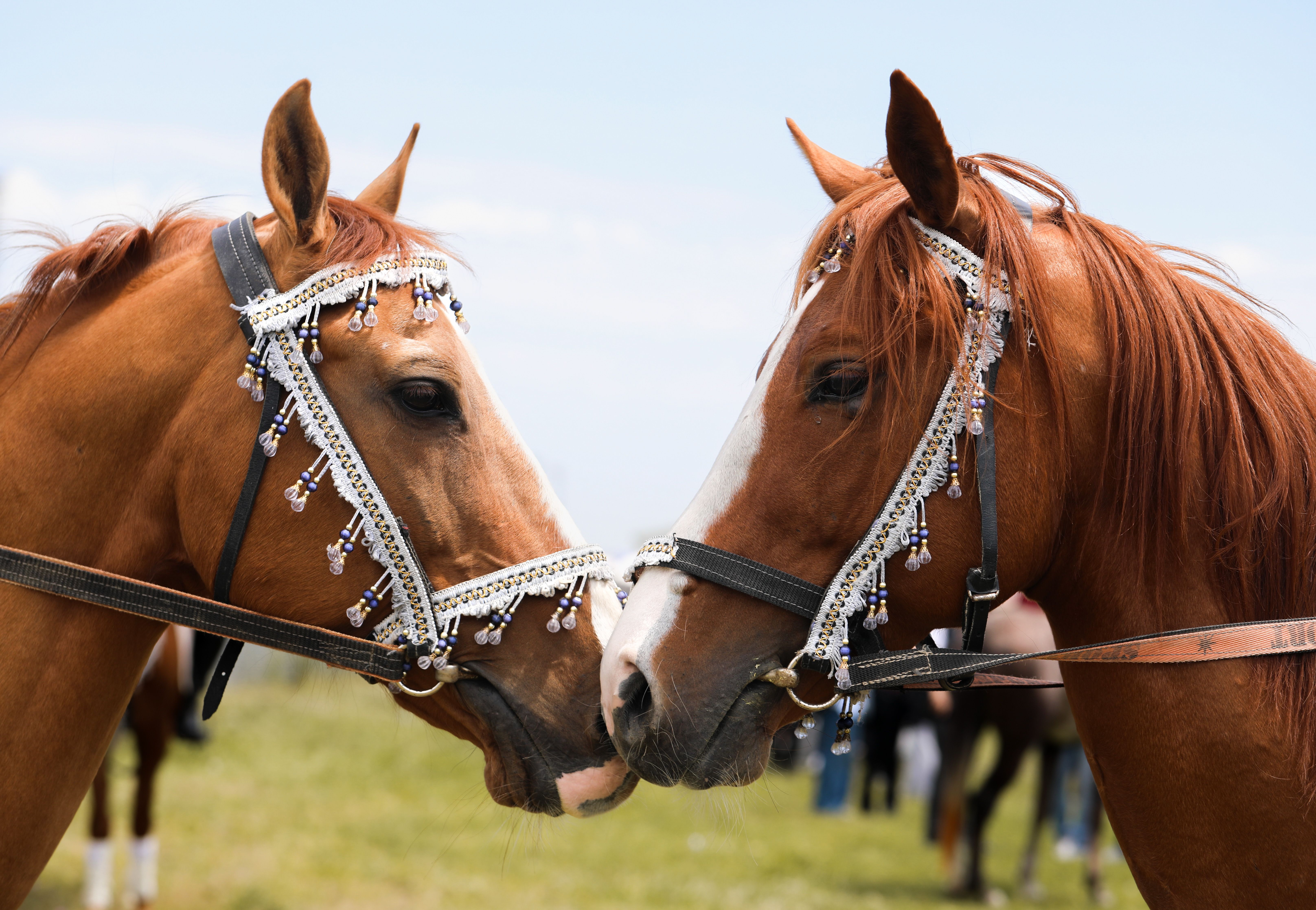 Apple Reveals Release Date for Slow Horses Season 6