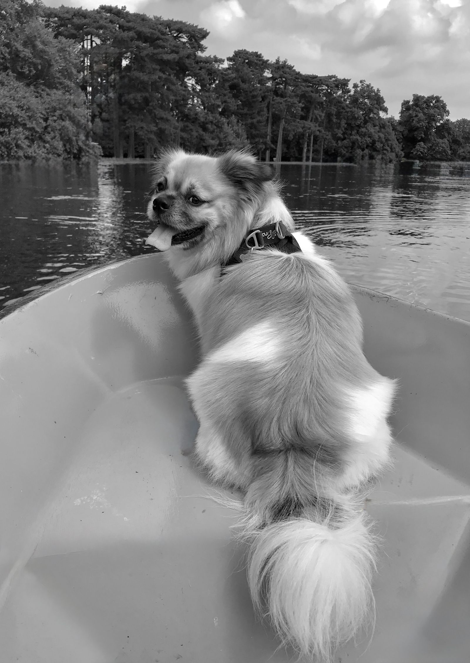 Boat wake at Lake of the Ozarks sunset