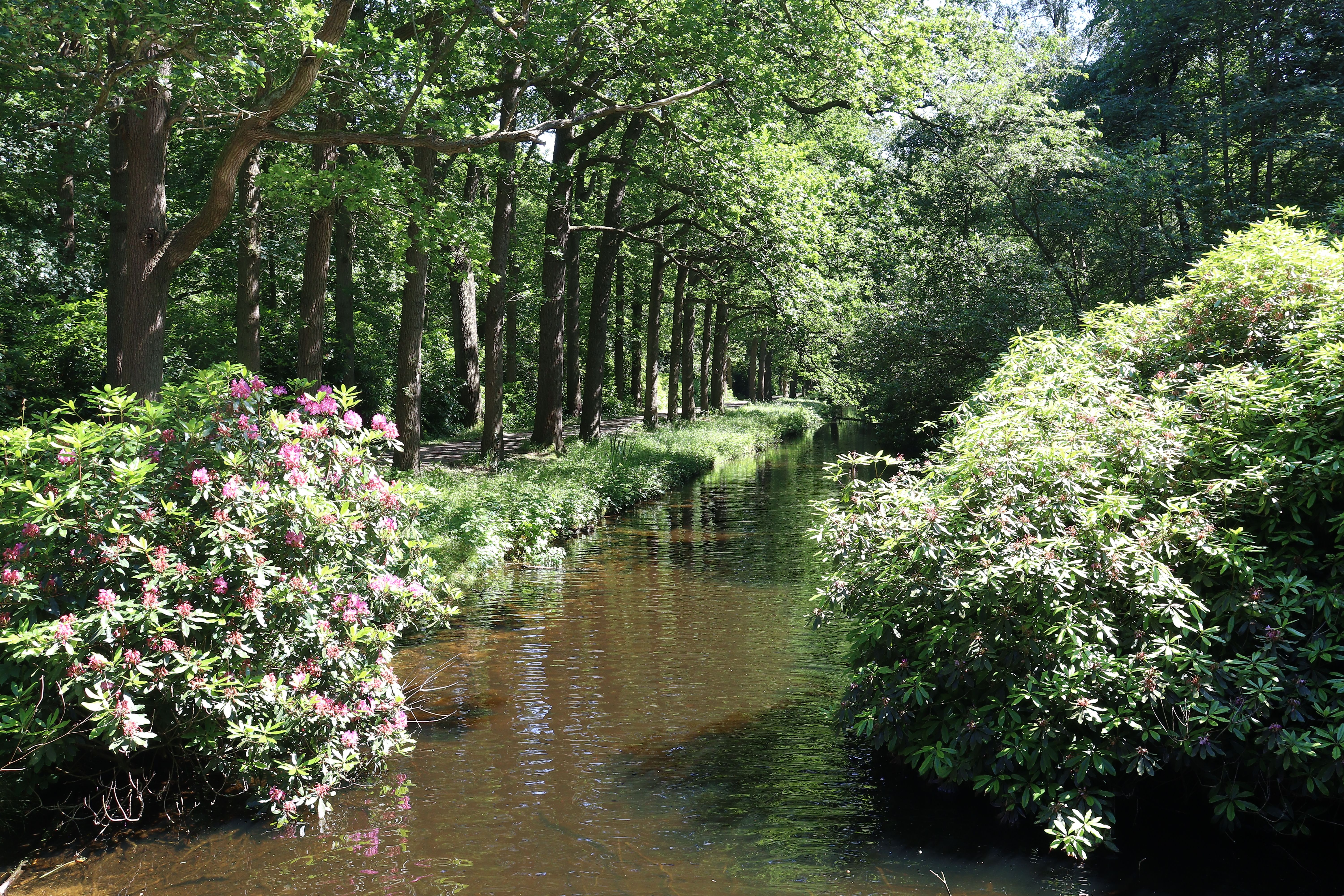 Landgoed Oud Poelgeest