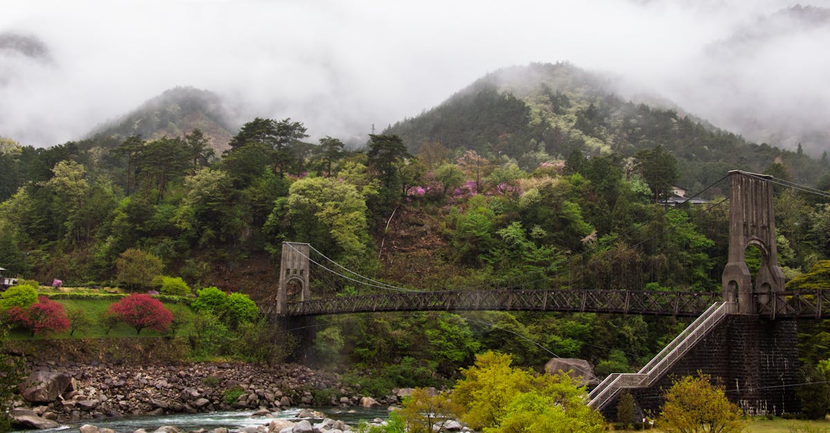 智邦科技助攻 身障青年變身行動小老闆 雞蛋糕香飄校園自力更生