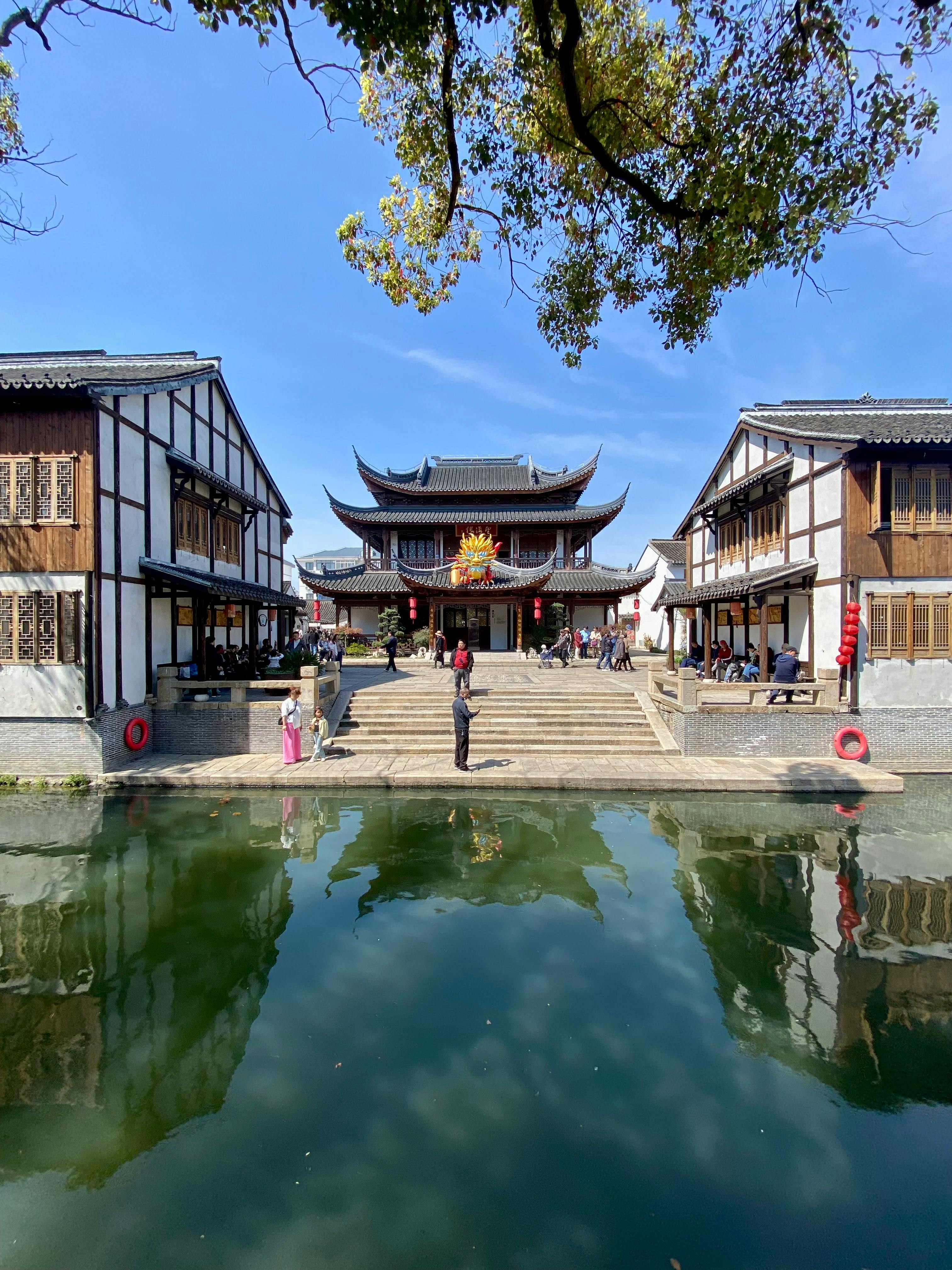 美景图片草原_森林中的超现实步行道