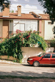 Colorful house with lush roses and a parked red car create a serene street scene.