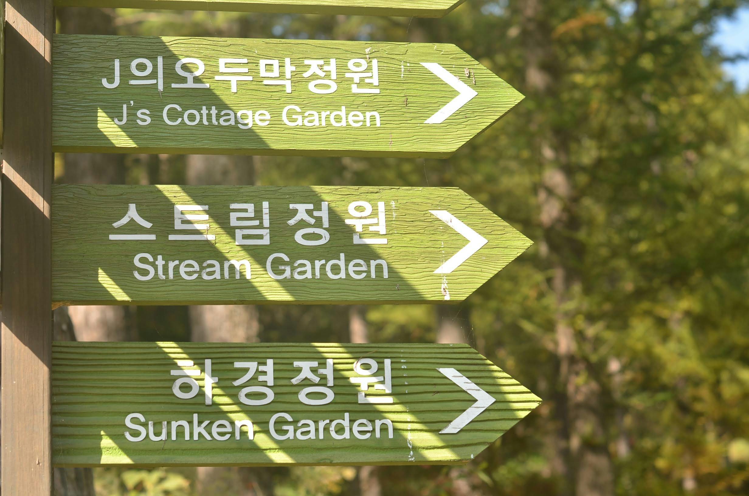 K‑Hiking Tourism in Korea Surges as Young Locals and Global Visitors Embrace Seoul’s Mountain Trails and National Parks, Back