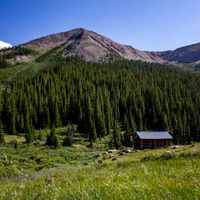 Cedar Ridge Lodge exterior, alpine forest — photo by Joseph Simms on Pexels