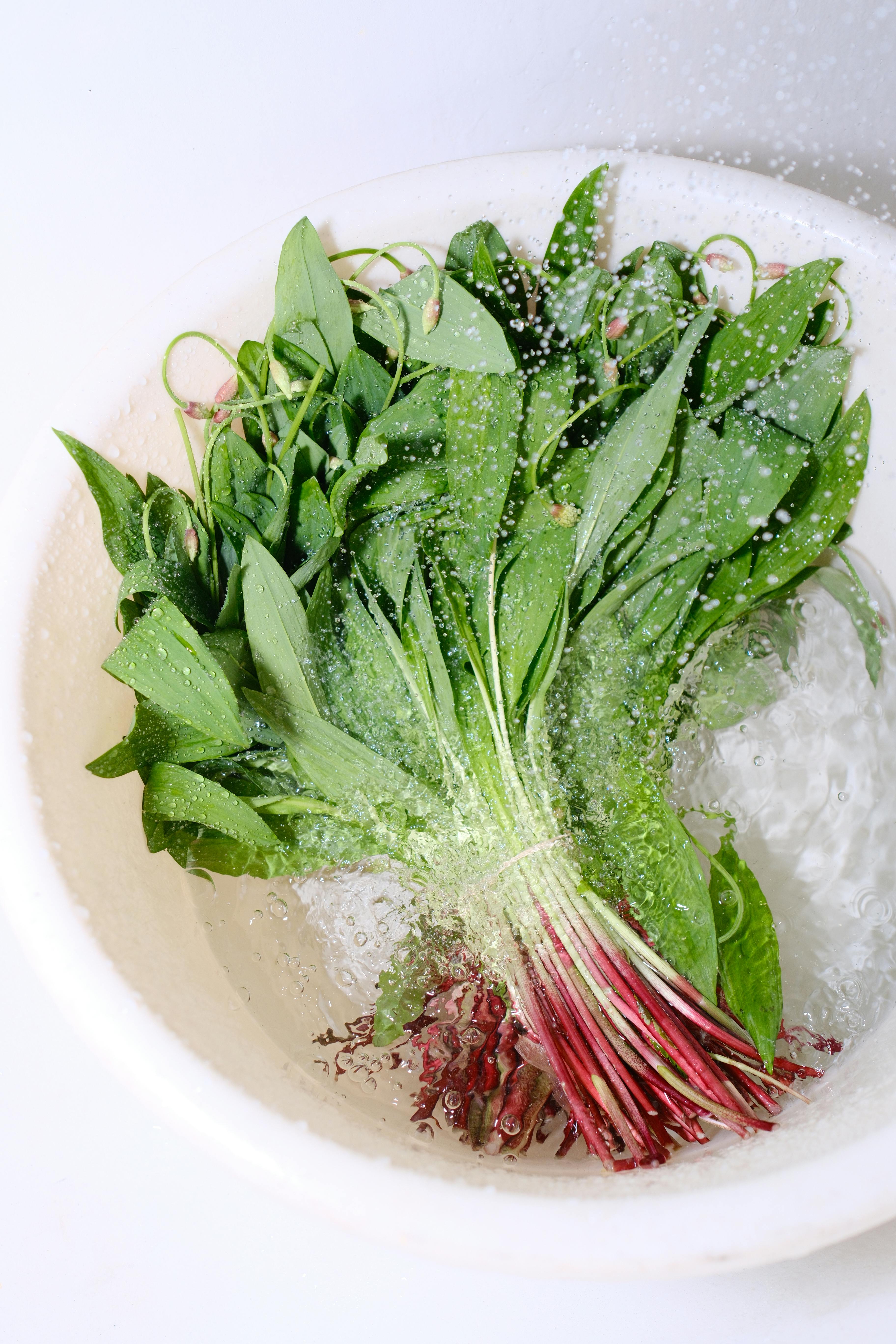菠菜焯水