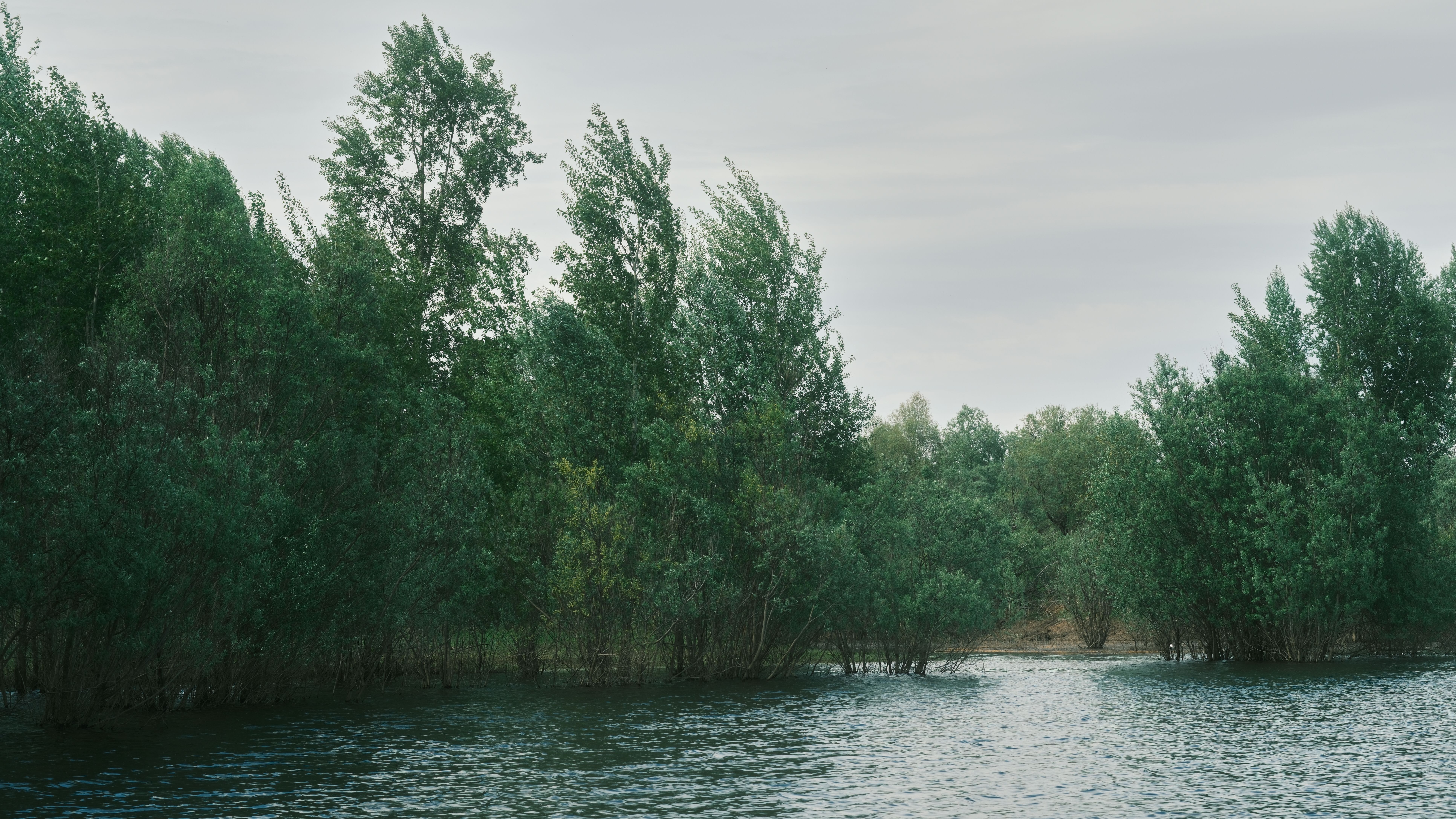 Peaceful Riverbend Lined with Vibrant Trees · Free Stock Photo