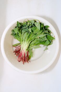 Vlita (Amaranth Greens)