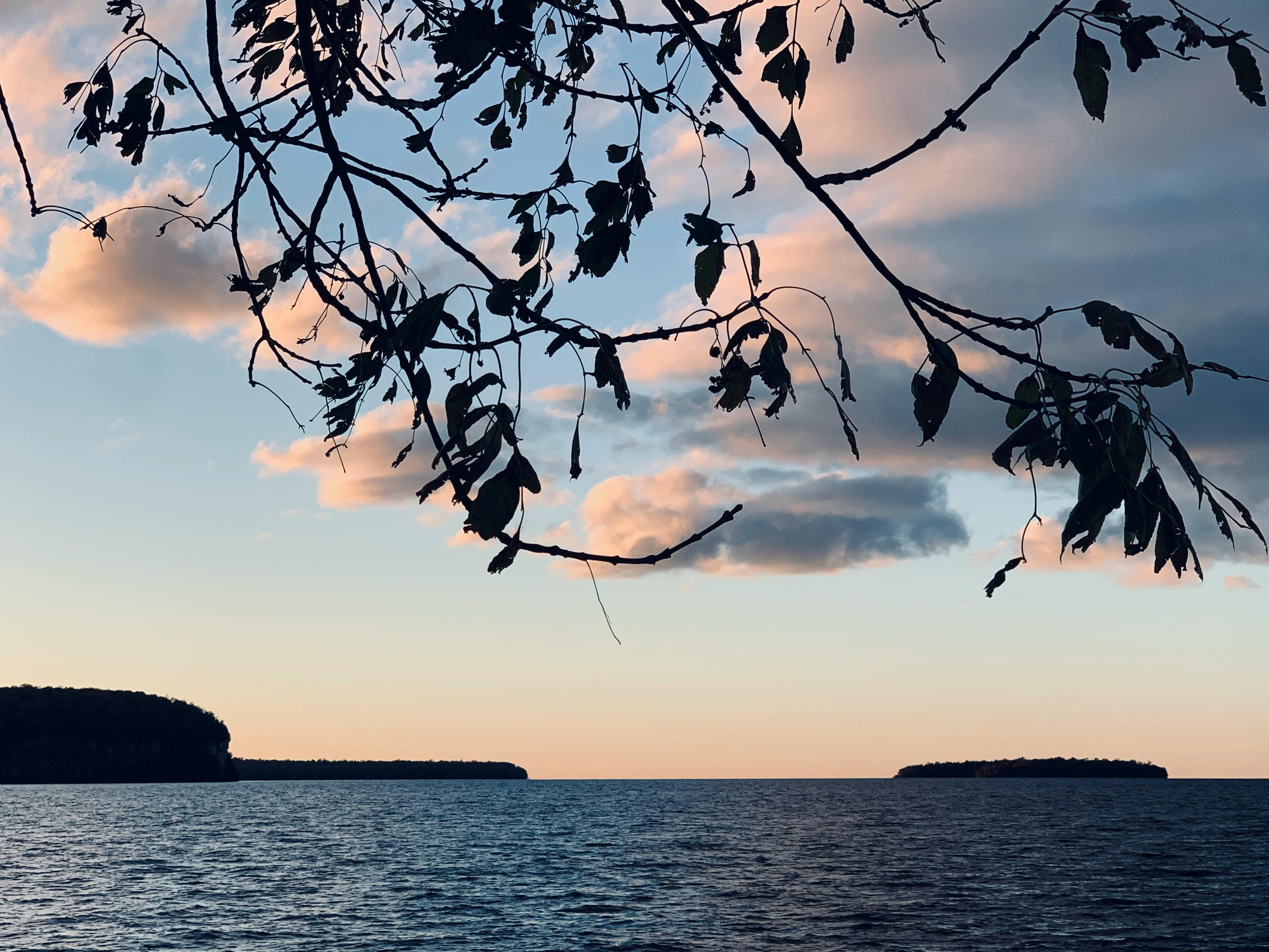 Fast bowler running in to bowl in a cricket match