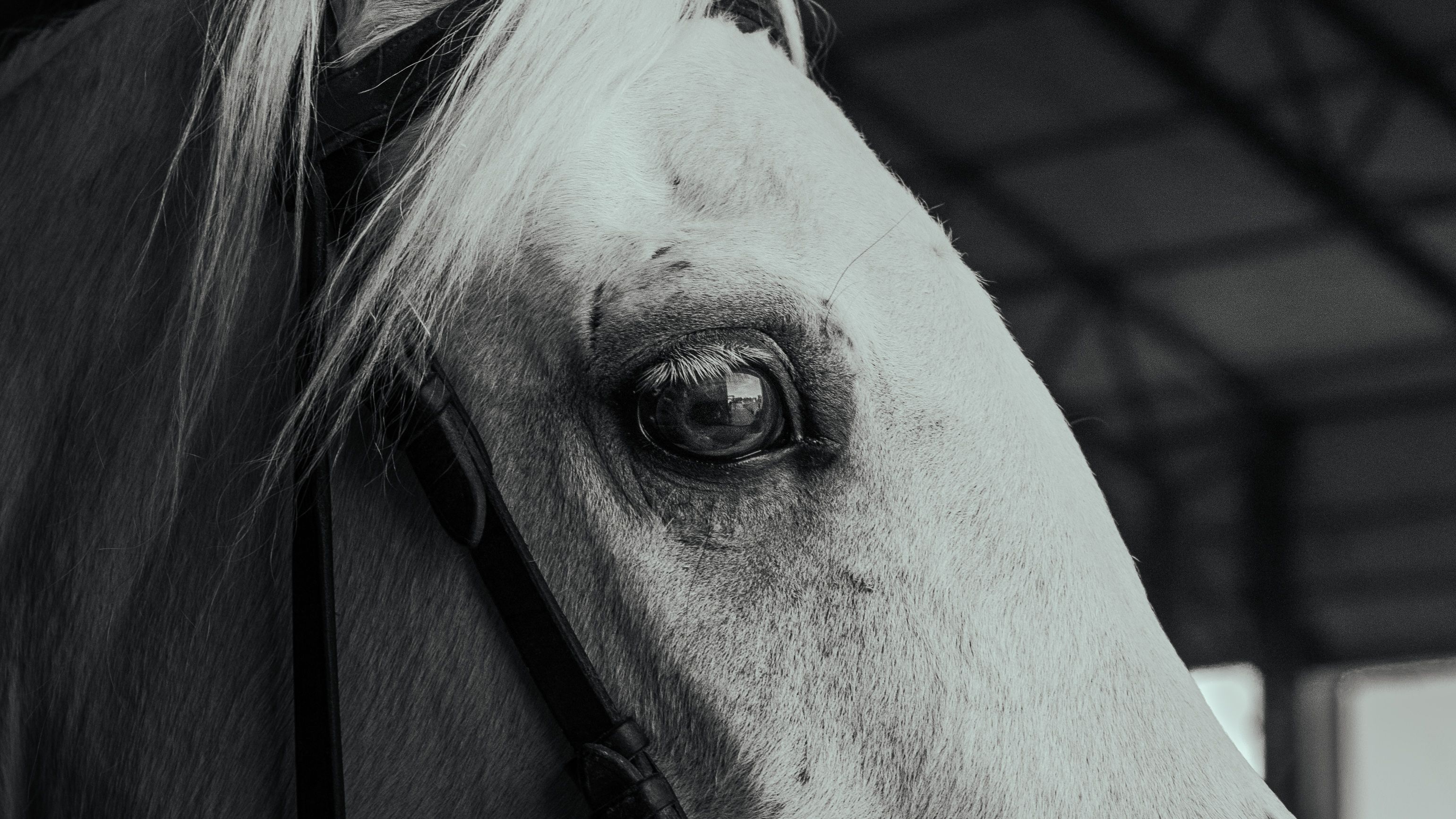 Barnes & Noble Photos, Download The BEST Free Barnes & Noble Stock