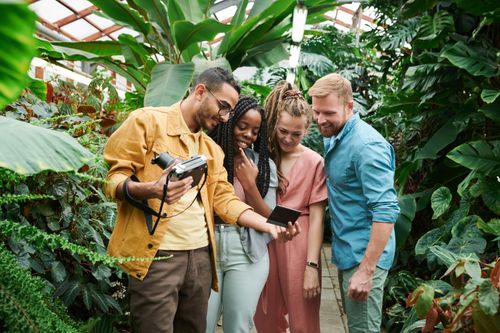 Free Group of friends looking at a photo in a lush greenhouse, smiling and enjoying. Stock Photo