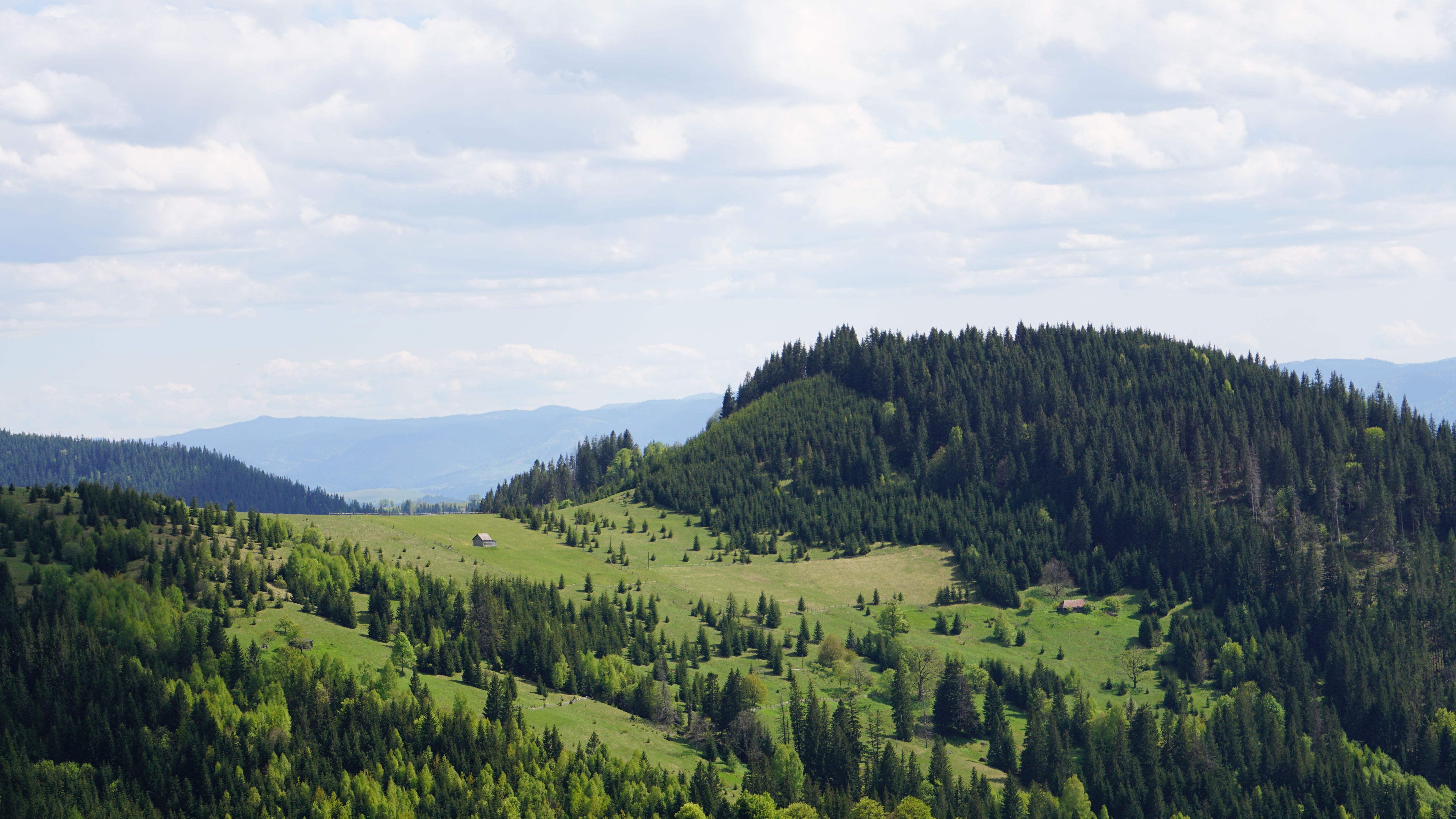 Scenic View of Lush Green Mountain Landscape · Free Stock Photo