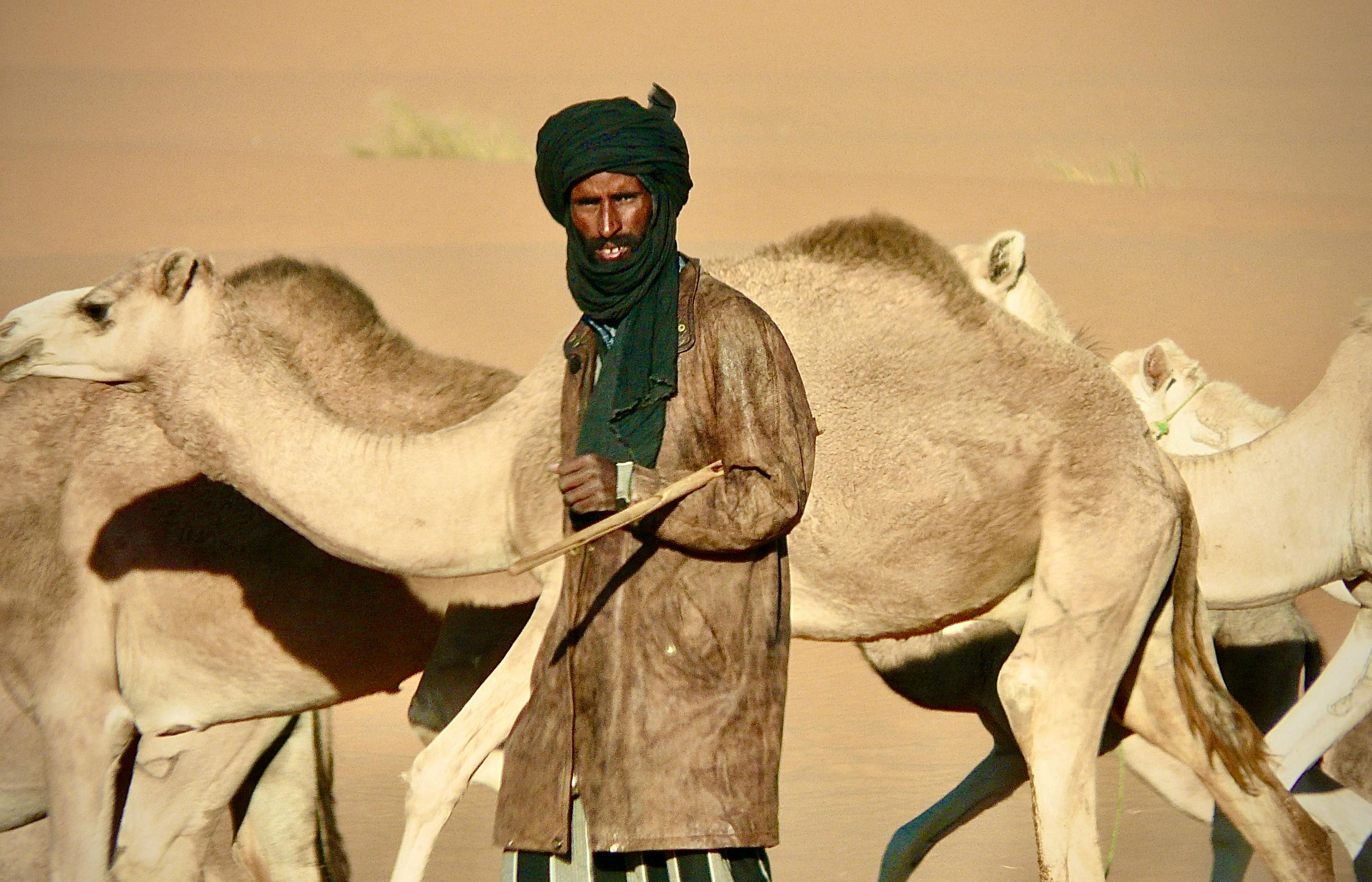 Brandi+Passante+Camel+Toe Photos, Download The BEST Free Brandi