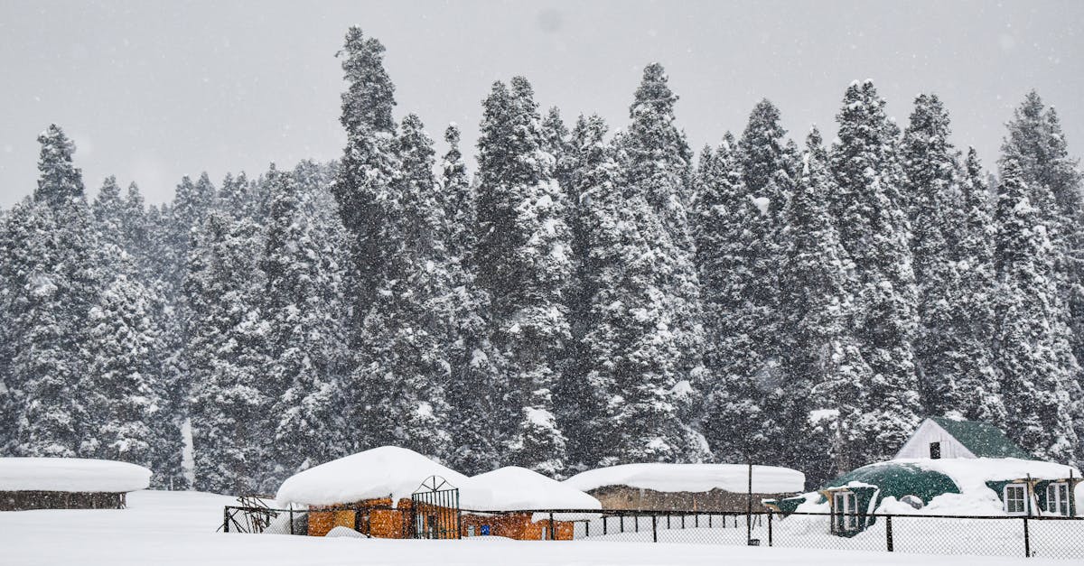 Gulmarg
