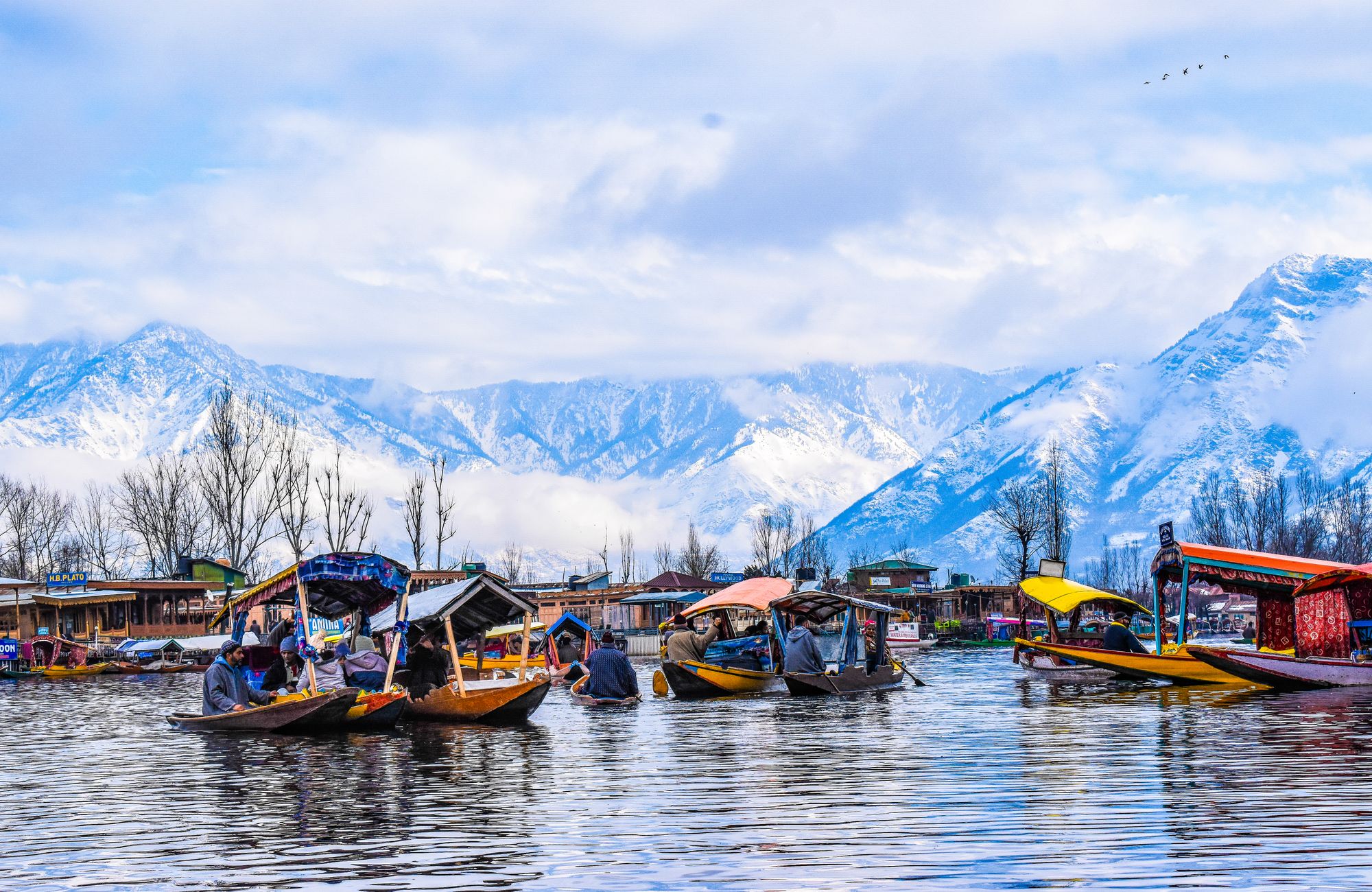 Kashmir — Still water. Snow peaks. A valley that keeps its promises.