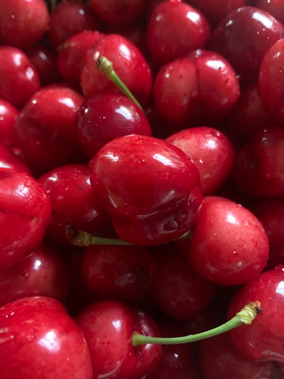 Fresh Red Cherries Close-up Macro Shot · Free Stock Photo