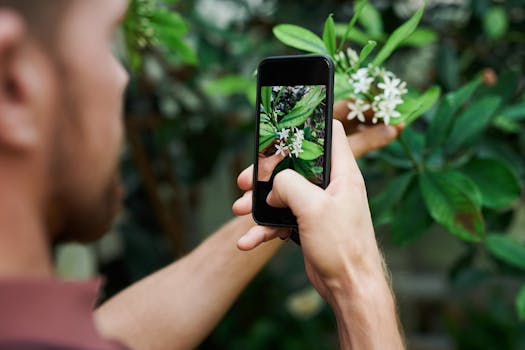 Person taking a close-up photo of white flowers using a smartphone, focusing on green leaves.
