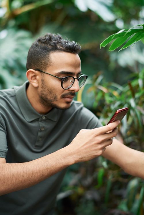 Free Man with glasses using smartphone in outdoor greenery setting, focused engagement. Stock Photo