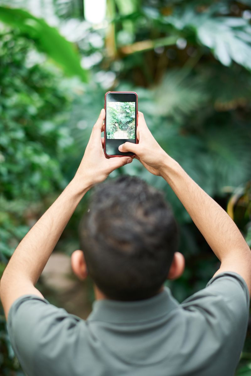 Landscaper using smartphone to photograph plants and garden beds at an outdoor job site