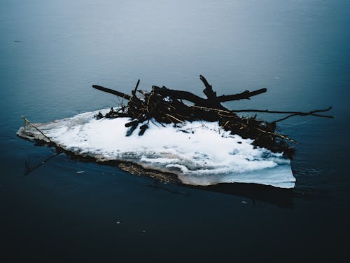 Безкоштовне стокове фото на тему «айсберг, вода, гілки»