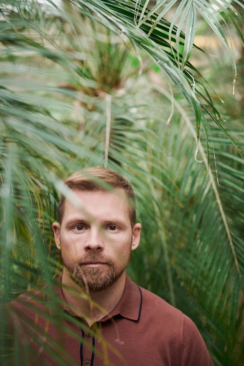 Foto d'estoc gratuïta de barba, buscant, cara