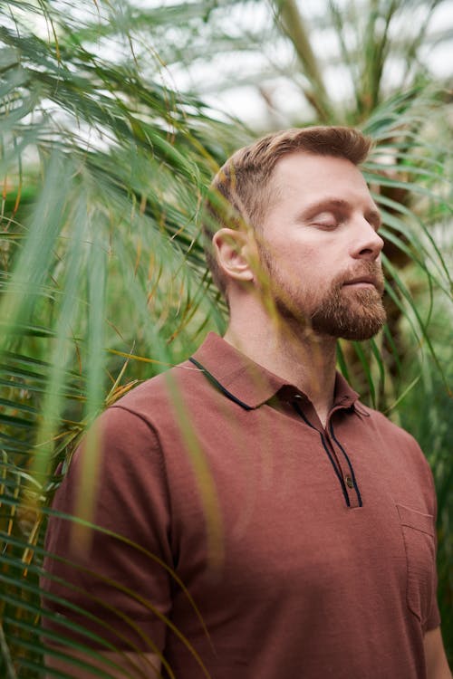 Photo Mise Au Point Sélective D'un Homme Debout Près De Plantes Vertes