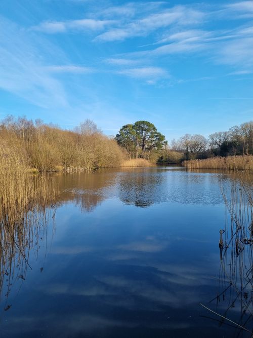 Free Serene lakeside view with clear blue sky and reflections. Perfect for nature and travel themes. Stock Photo