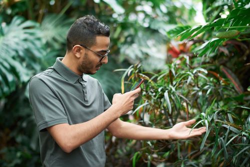 Free Young man using smartphone to capture plant details in a lush greenhouse environment. Stock Photo