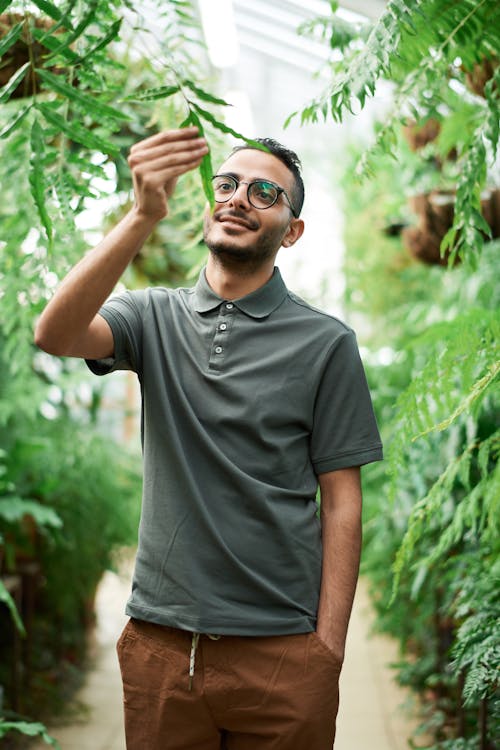 gratis Man Met Poloshirt Terwijl Het Aanraken Van Een Plant Stockfoto