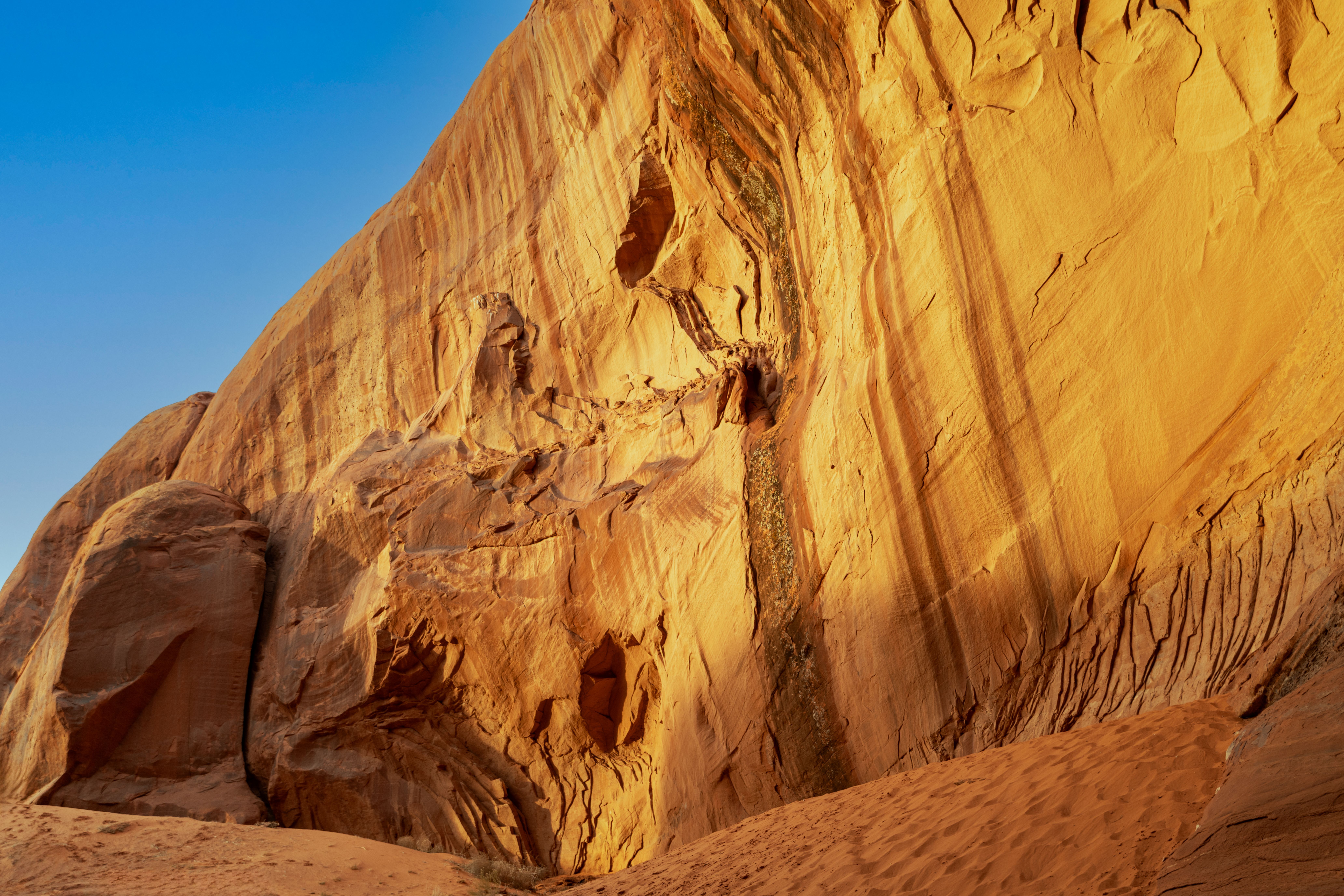 Samburu National Reserve: Kenya's Hidden Wildlife Gem