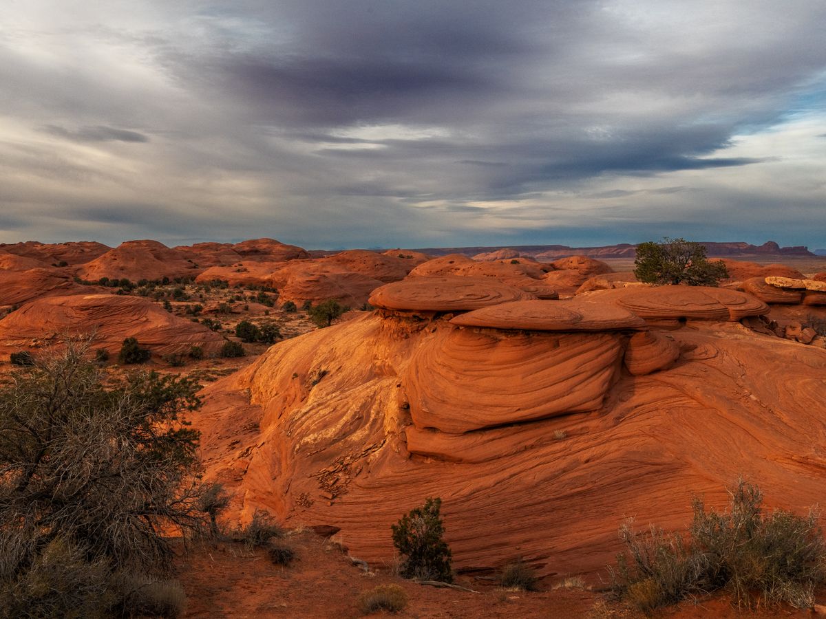4 day New Moon Journey: Silent Meditation in Nature CA, US 1