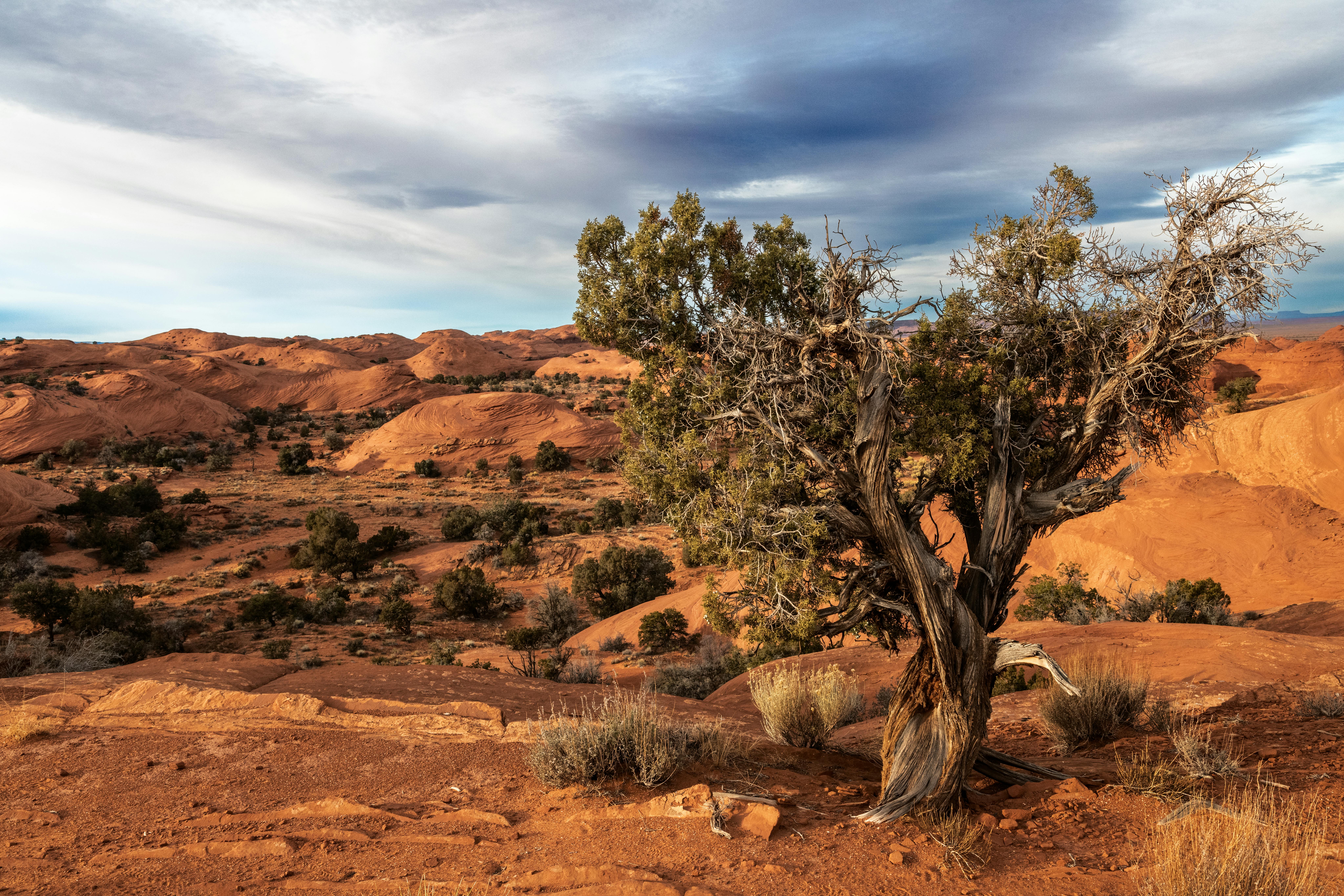 How to Handle Rejection Effectively and Grow Stronger