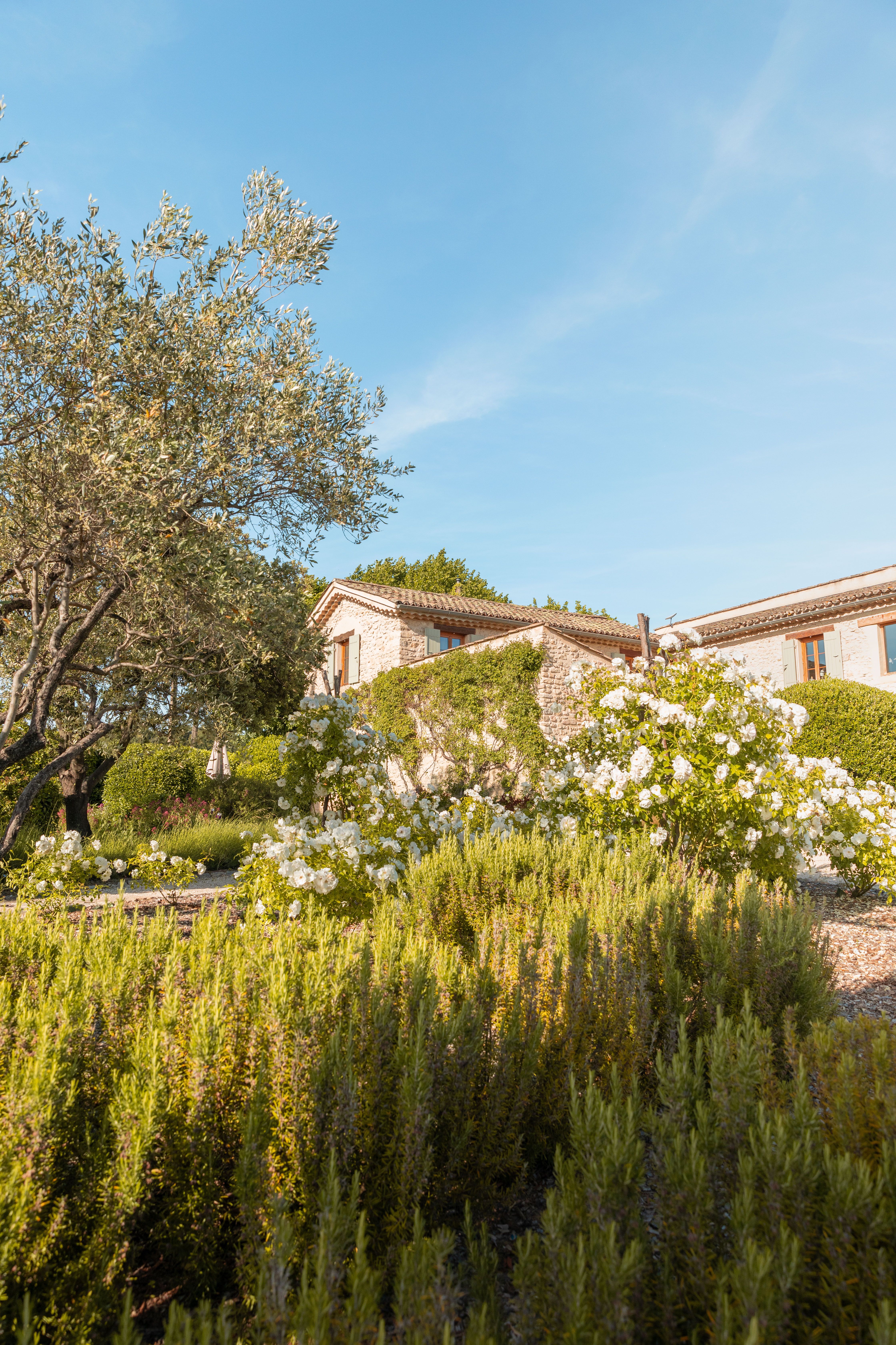 Aménager une terrasse provençale pas cher 