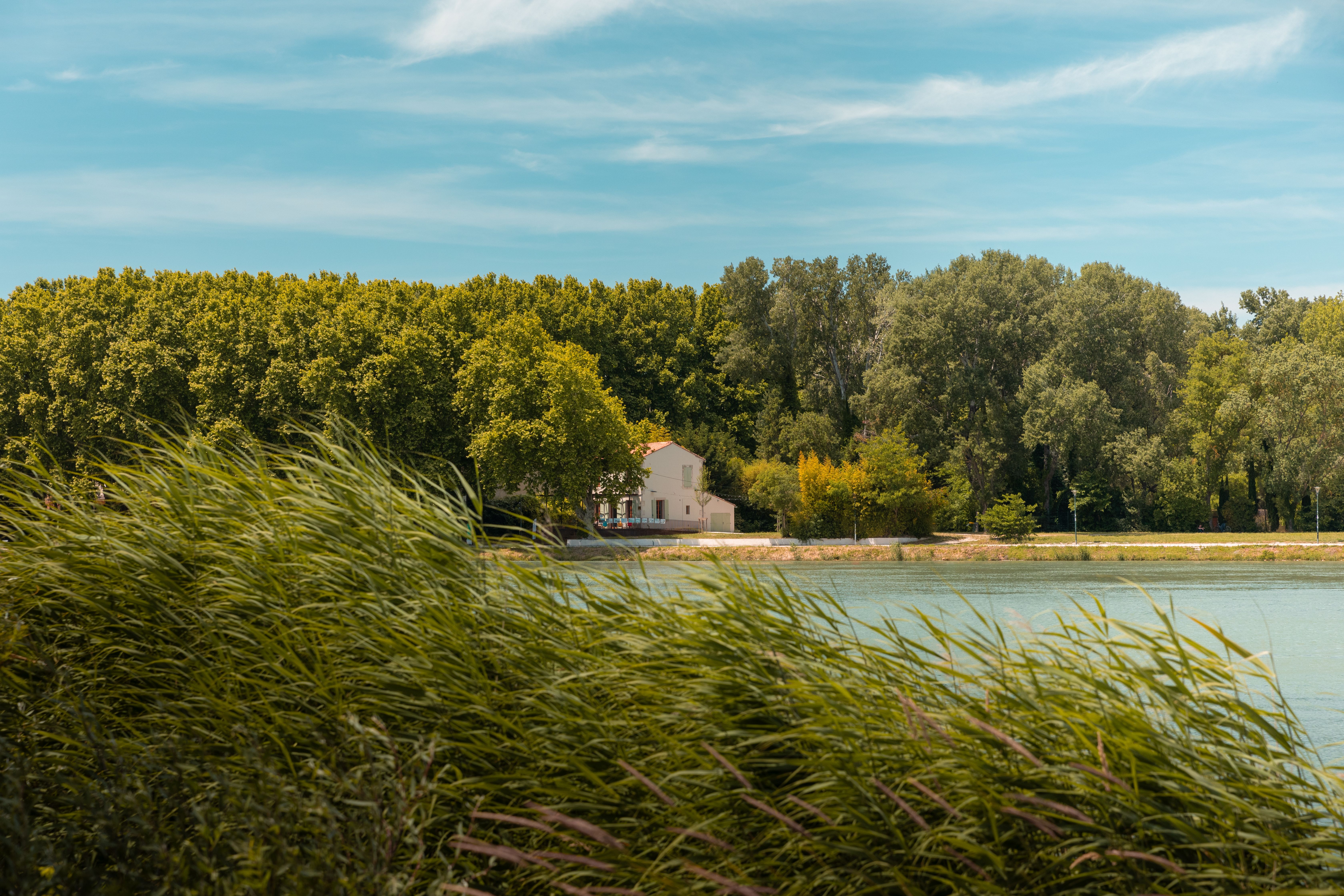 Idyllic Summer Scene in Provence, France · Free Stock Photo