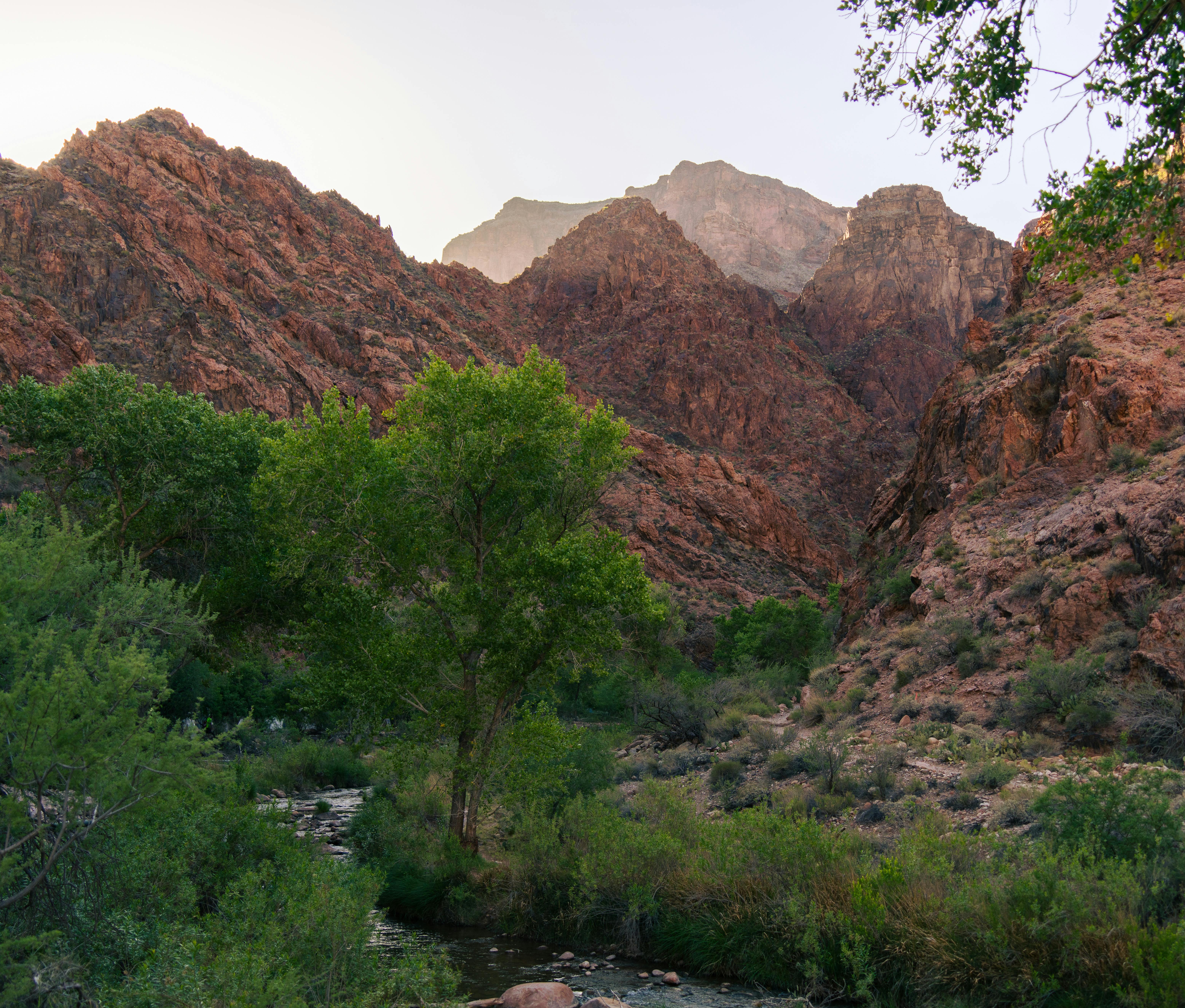 Effective Water Management Strategies for Sustainable Development