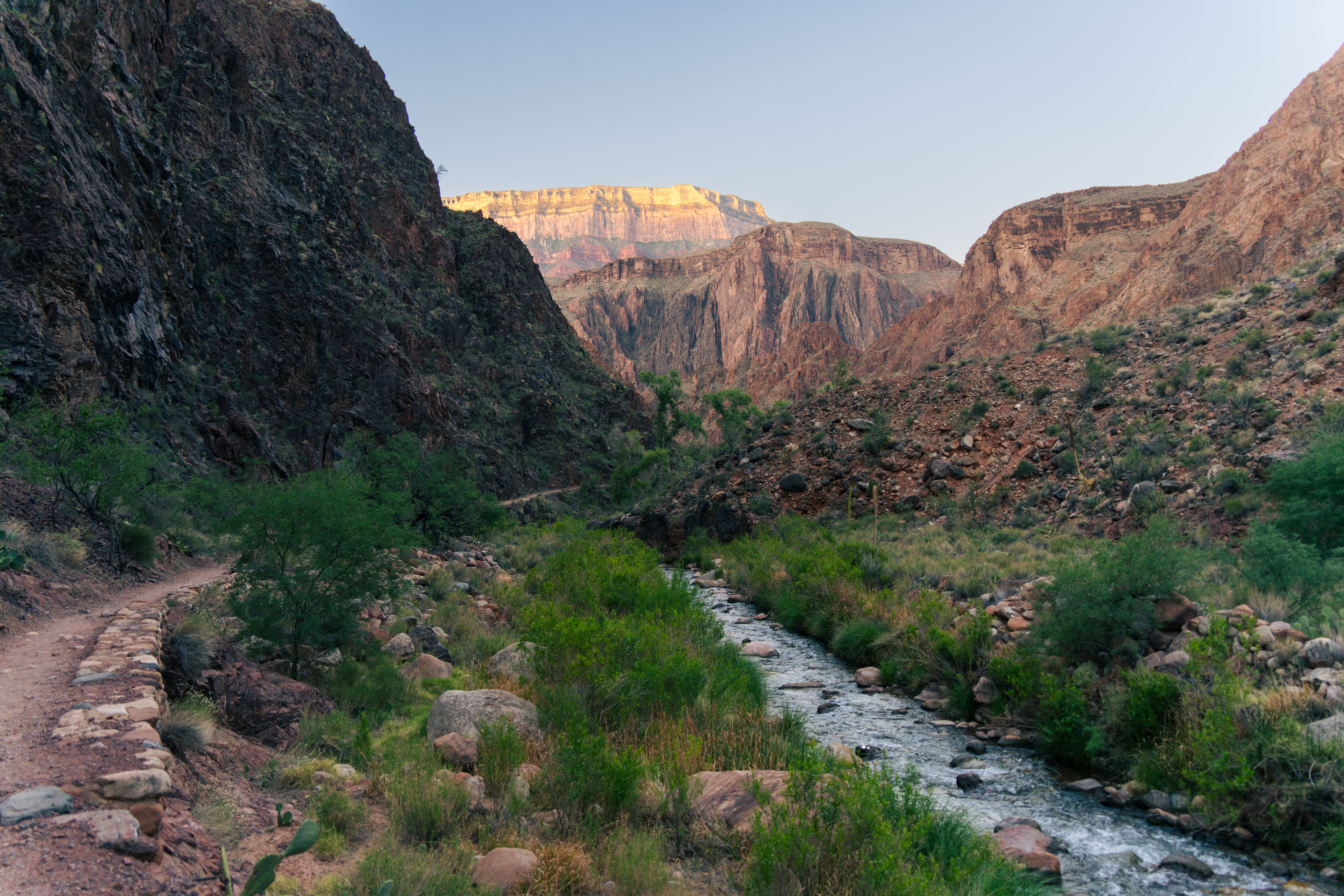 Explore the breathtaking landscapes of Grand Canyon National Park's trails.