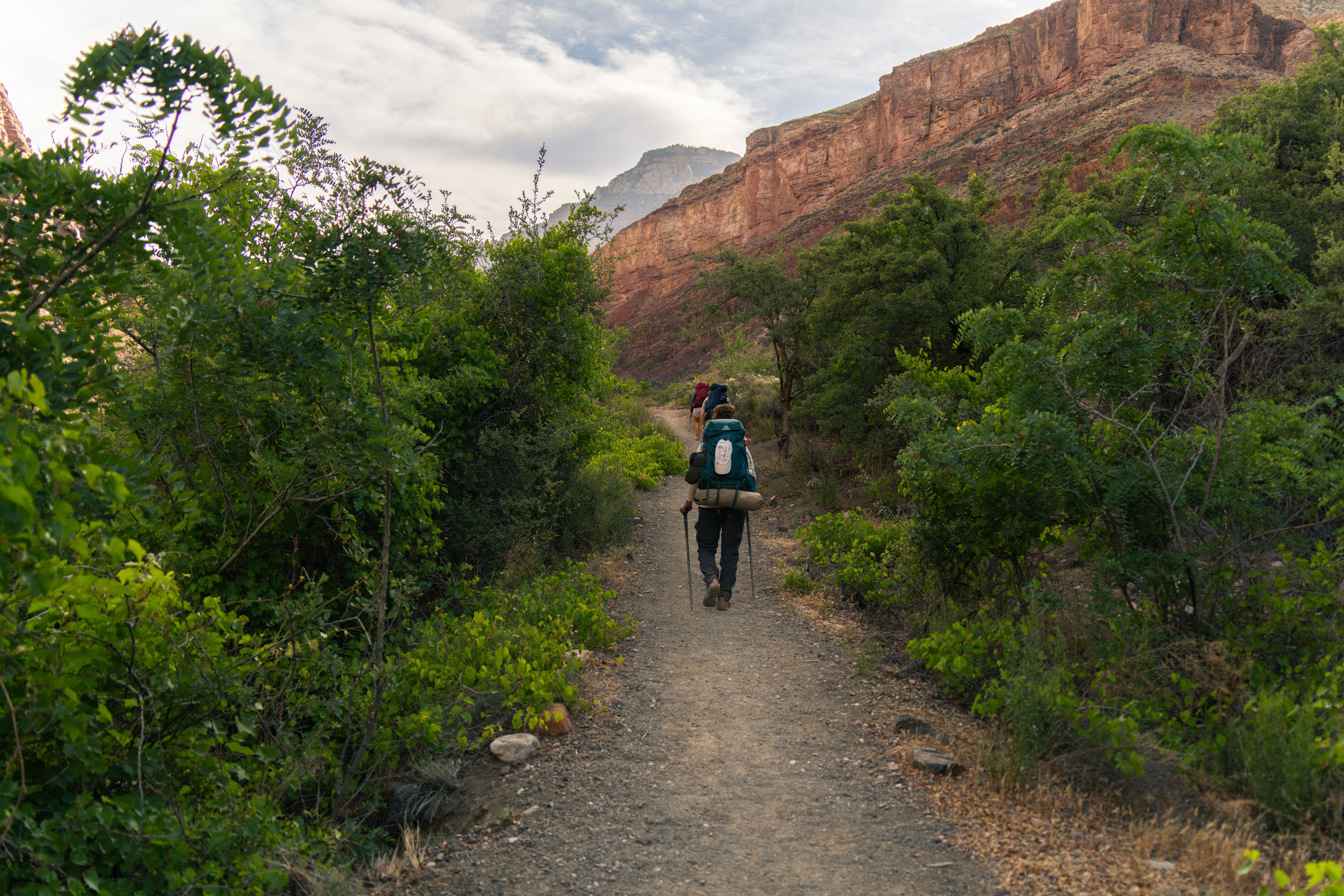 Randonnée Rim Trail Section Maricopa Point