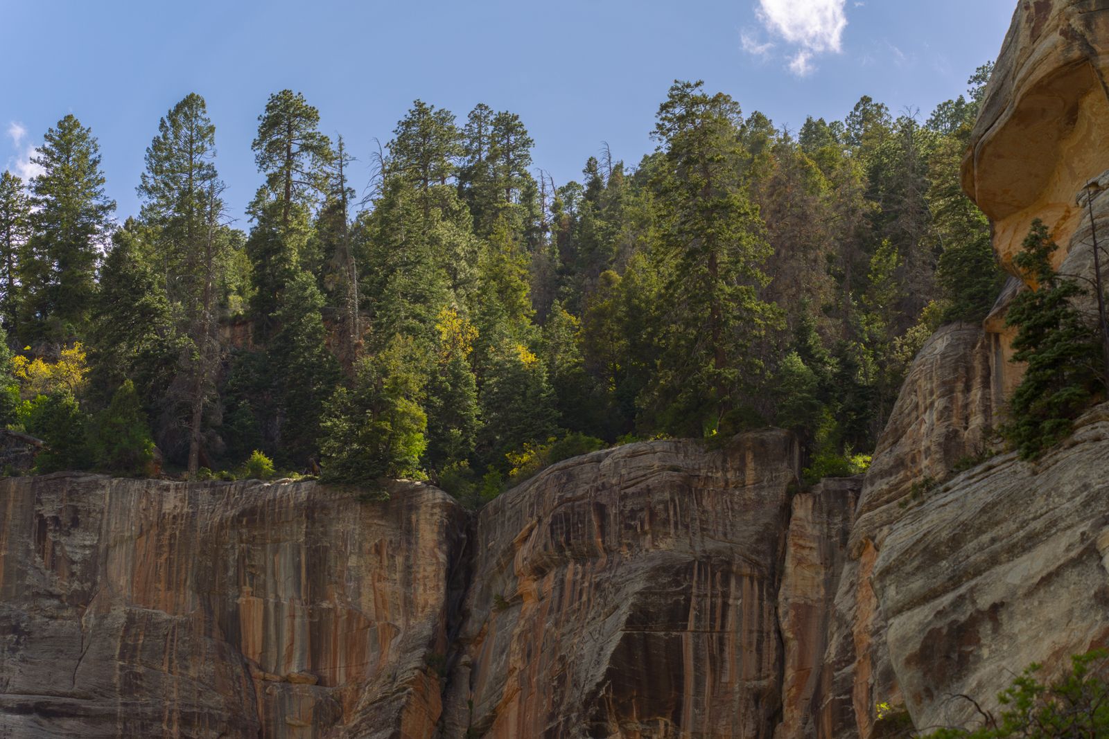 Payson, Arizona