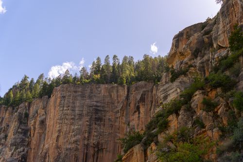 Free Stunning view of the Grand Canyon's North Rim with towering cliffs and lush greenery. Stock Photo