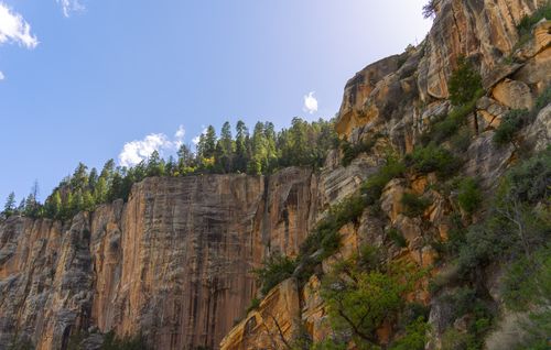 Free Breathtaking view of the rugged cliffs at Grand Canyon's North Rim, under a clear blue sky. Stock Photo