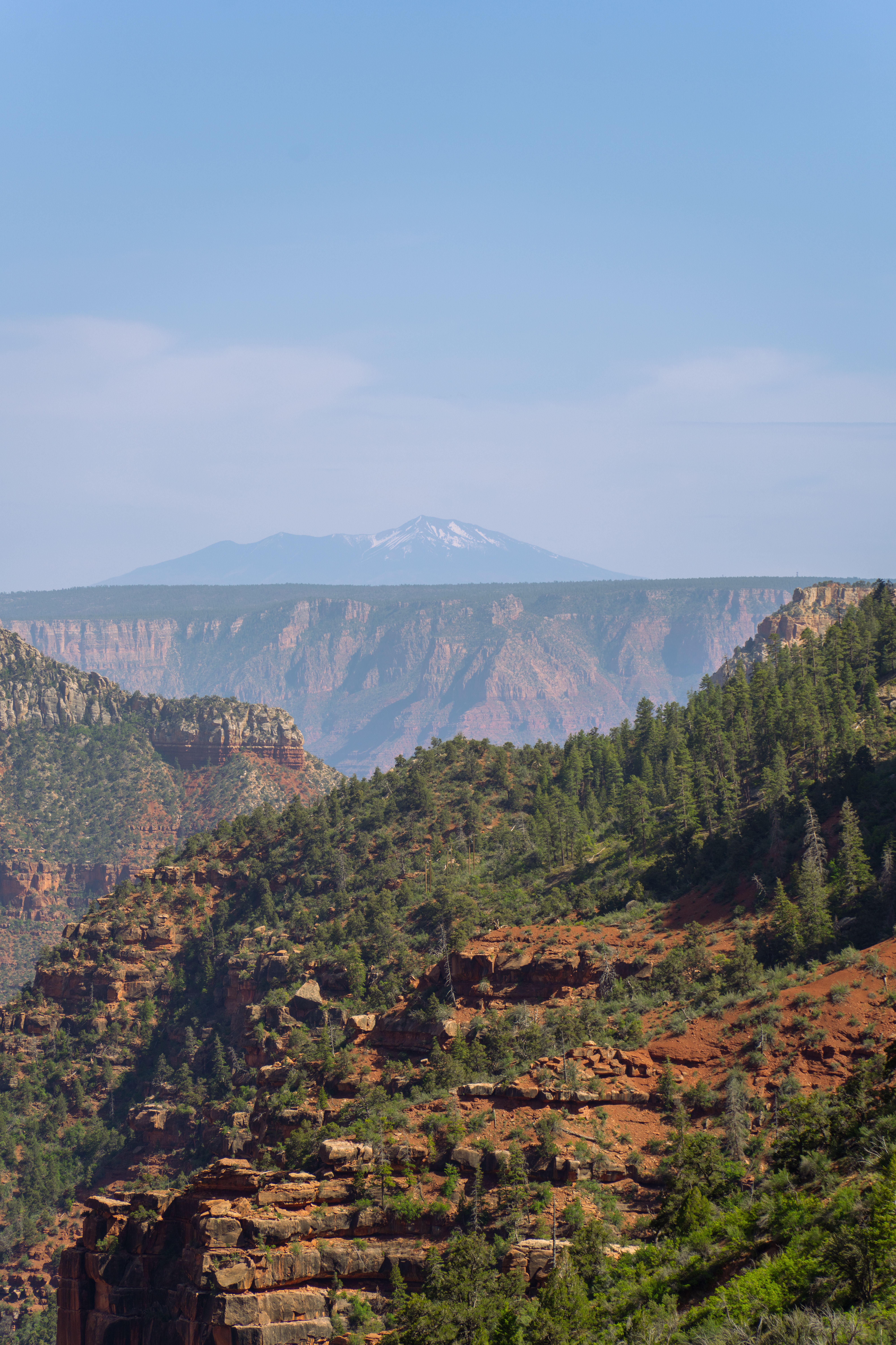 Stunning View of North Rim Grand Canyon · Free Stock Photo