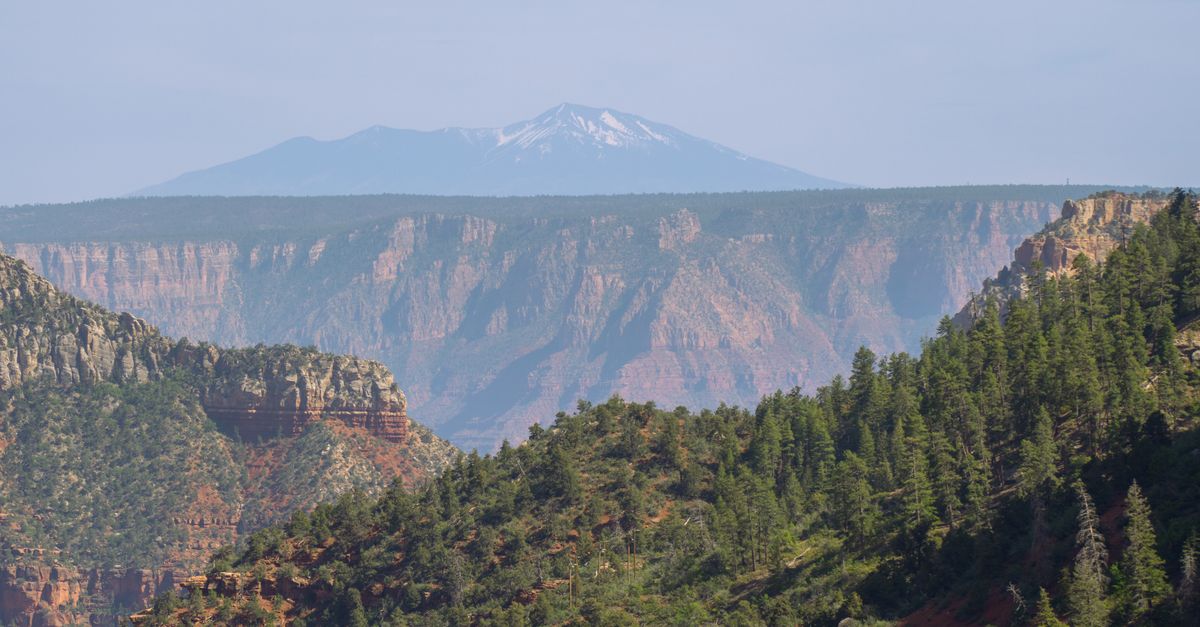 North Rim Spring Stunning View of North Rim Grand Canyon · Free Stock Photo