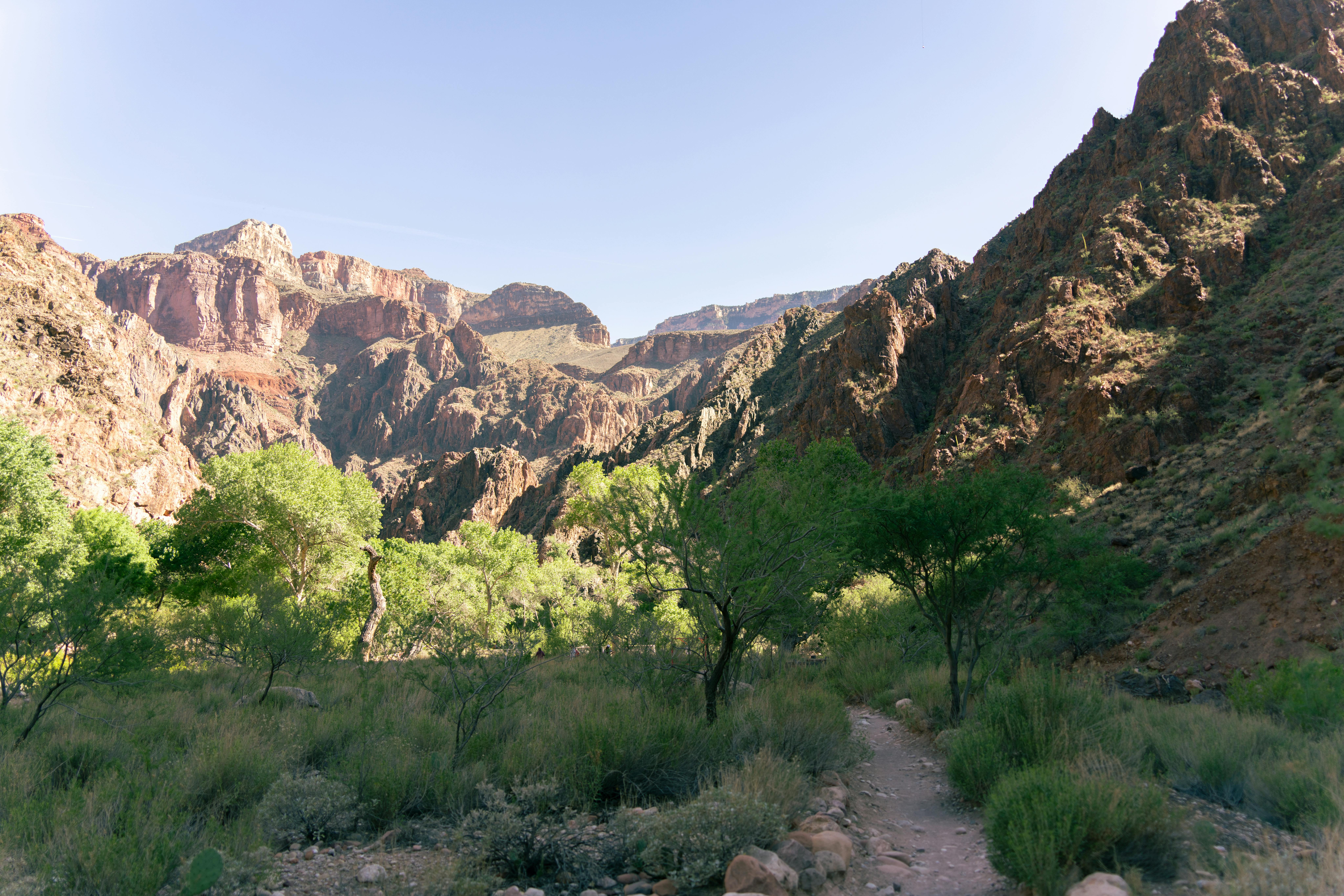 Grand Canyon overlook at sunrise
