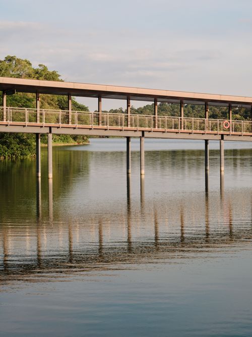 Free Peaceful pedestrian bridge over calm water surrounded by lush greenery. Captured in daylight. Stock Photo