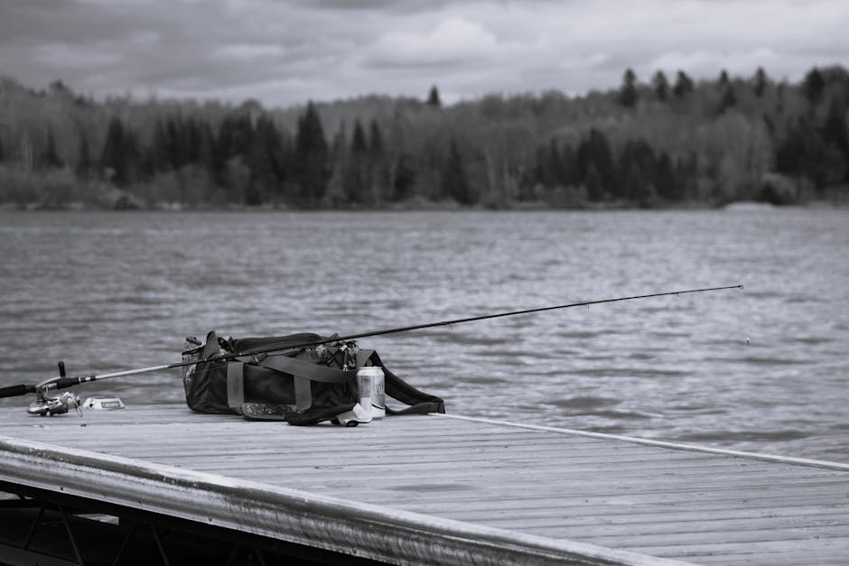 <b>Aplikasi CS3310: Di Mana Saja Kita Bisa Menemukannya?</b> <b>Aplikasi CS3310: Di Mana Saja Kita Bisa Menemukannya?</b>