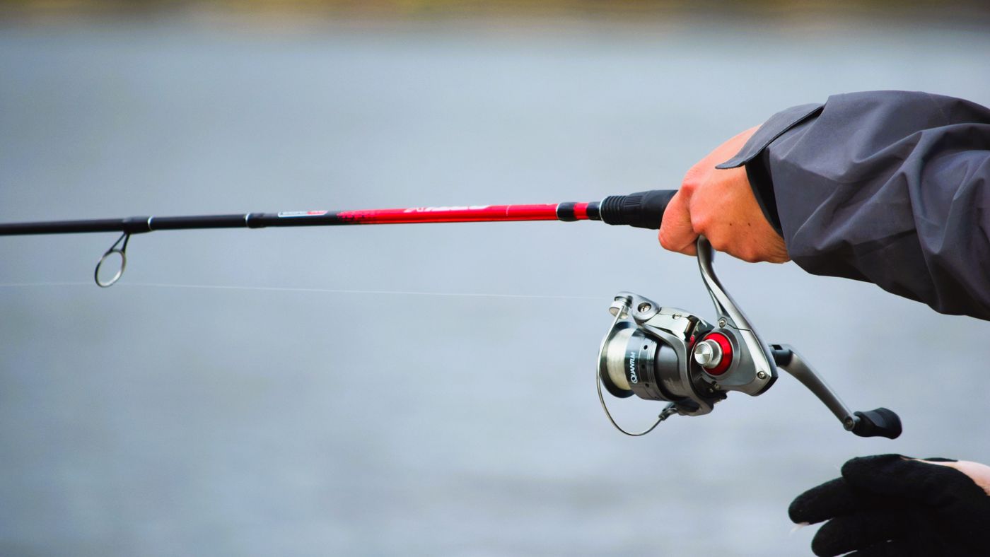 Fishing in the USA: Where to Cast and What You'll Catch