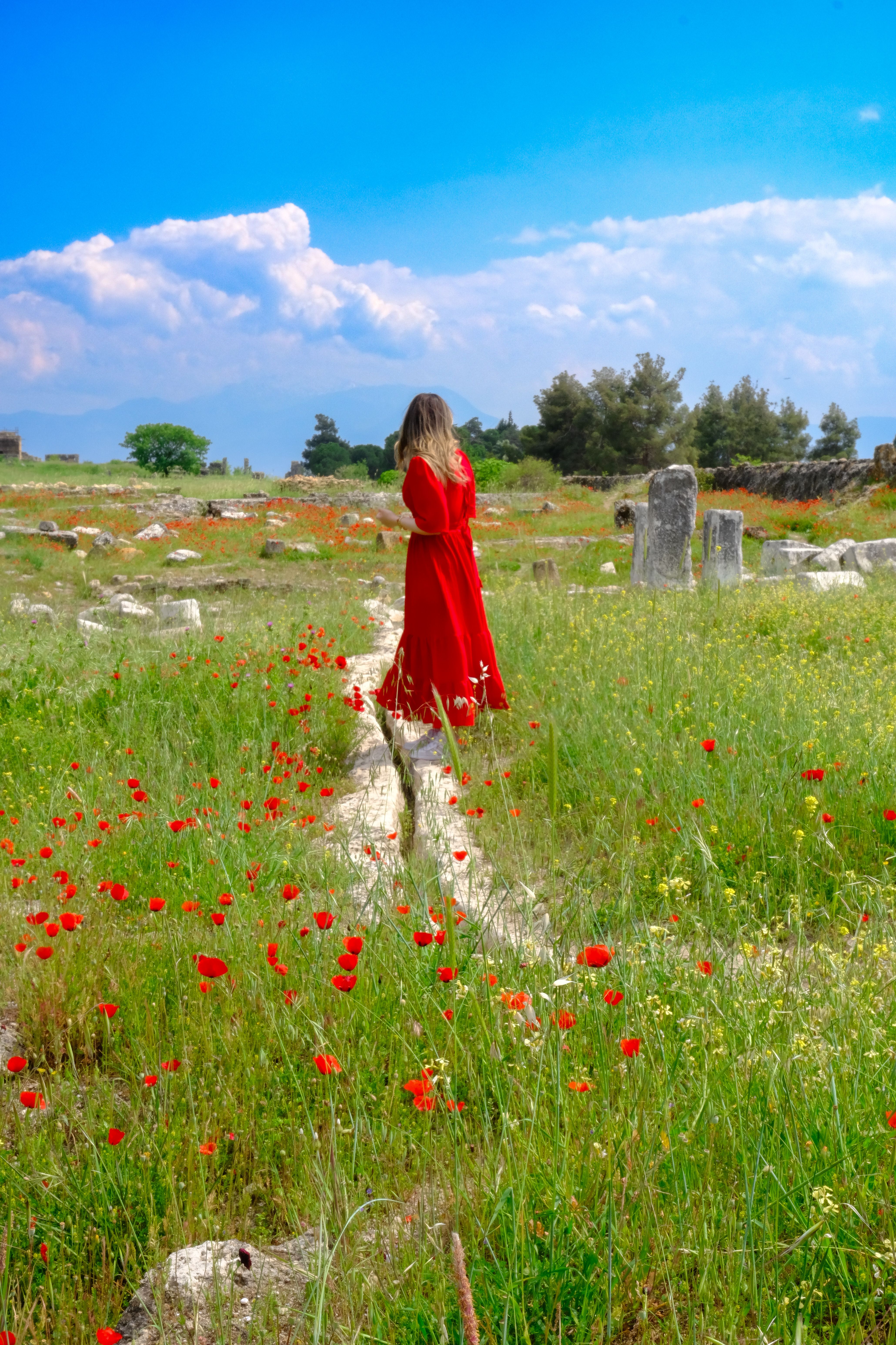 Woman in Red Dress Walking in Poppy Field · Free Stock Photo